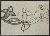 Picture 17 of 94 from Florence home needle-work (1896), leaf 21