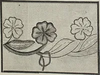 An illustration from Florence home needle-work (1896)