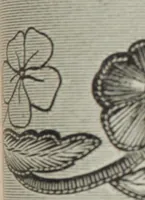 An illustration from Florence home needle-work (1896)