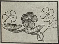 An illustration from Florence home needle-work (1896)