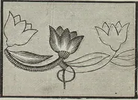 An illustration from Florence home needle-work (1896)