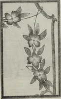 An illustration from Florence home needle-work (1896)