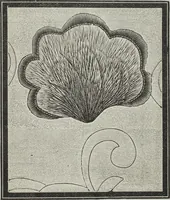 An illustration from Florence home needle-work (1896)
