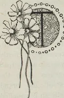 An illustration from Florence home needle-work (1896)