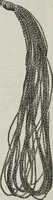 An illustration from Florence home needle-work (1896)