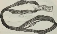 An illustration from Florence home needle-work (1896)
