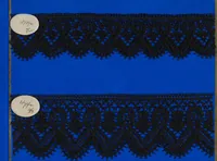 An illustration from Lace sample book (1900)