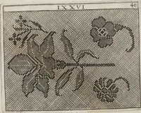 An illustration from Model Buch. : Teil 2 (1666)