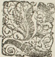 An illustration from Model Buch : Teil 1.-2 (1660)