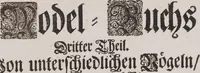 An illustration from Model Buch : Teil 3 (1676)