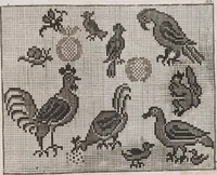 An illustration from Model Buch : Teil 3 (1676)