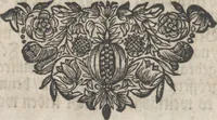 An illustration from Model Buch : Teil 4 (1676)