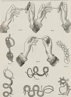 An illustration from Complete guide to the work-table : containing instructions in Berlin work, crochet, drawn-thread work, embroidery, knitting, knotting or macrame, lace, netting, poonah painting, & tatting, with numerous illustrations and coloured designs (1884)