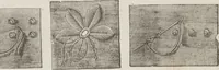 An illustration from Complete guide to the work-table : containing instructions in Berlin work, crochet, drawn-thread work, embroidery, knitting, knotting or macrame, lace, netting, poonah painting, & tatting, with numerous illustrations and coloured designs (1884)