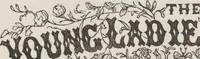 An illustration from Complete guide to the work-table : containing instructions in Berlin work, crochet, drawn-thread work, embroidery, knitting, knotting or macrame, lace, netting, poonah painting, & tatting, with numerous illustrations and coloured designs (1884)