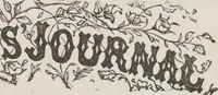 An illustration from Complete guide to the work-table : containing instructions in Berlin work, crochet, drawn-thread work, embroidery, knitting, knotting or macrame, lace, netting, poonah painting, & tatting, with numerous illustrations and coloured designs (1884)