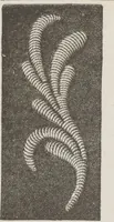 An illustration from Complete guide to the work-table : containing instructions in Berlin work, crochet, drawn-thread work, embroidery, knitting, knotting or macrame, lace, netting, poonah painting, & tatting, with numerous illustrations and coloured designs (1884)