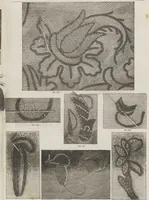 An illustration from Complete guide to the work-table : containing instructions in Berlin work, crochet, drawn-thread work, embroidery, knitting, knotting or macrame, lace, netting, poonah painting, & tatting, with numerous illustrations and coloured designs (1884)