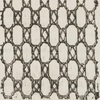 An illustration from Complete guide to the work-table : containing instructions in Berlin work, crochet, drawn-thread work, embroidery, knitting, knotting or macrame, lace, netting, poonah painting, & tatting, with numerous illustrations and coloured designs (1884)