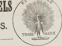 An illustration from Complete guide to the work-table : containing instructions in Berlin work, crochet, drawn-thread work, embroidery, knitting, knotting or macrame, lace, netting, poonah painting, & tatting, with numerous illustrations and coloured designs (1884)