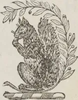 An illustration from Complete guide to the work-table : containing instructions in Berlin work, crochet, drawn-thread work, embroidery, knitting, knotting or macrame, lace, netting, poonah painting, & tatting, with numerous illustrations and coloured designs (1884)