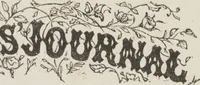An illustration from Complete guide to the work-table : containing instructions in Berlin work, crochet, drawn-thread work, embroidery, knitting, knotting or macrame, lace, netting, poonah painting, & tatting, with numerous illustrations and coloured designs (1884)