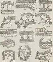 An illustration from Complete guide to the work-table : containing instructions in Berlin work, crochet, drawn-thread work, embroidery, knitting, knotting or macrame, lace, netting, poonah painting, & tatting, with numerous illustrations and coloured designs (1884)