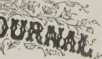 An illustration from Complete guide to the work-table : containing instructions in Berlin work, crochet, drawn-thread work, embroidery, knitting, knotting or macrame, lace, netting, poonah painting, & tatting, with numerous illustrations and coloured designs (1884)