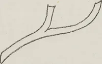 An illustration from Complete guide to the work-table : containing instructions in Berlin work, crochet, drawn-thread work, embroidery, knitting, knotting or macrame, lace, netting, poonah painting, & tatting, with numerous illustrations and coloured designs (1884)