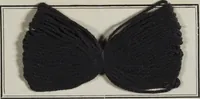 An illustration from New products manufactured by Farbwerke vorm. Meister Lucius & Brüning, Hoechst on the Main, Germany. (1900)