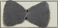 Picture 71 of 110 from New products manufactured by Farbwerke vorm. Meister Lucius & Brüning, Hoechst on the Main, Germany. (1900), leaf 132