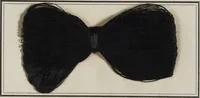An illustration from New products manufactured by Farbwerke vorm. Meister Lucius & Brüning, Hoechst on the Main, Germany. (1900)
