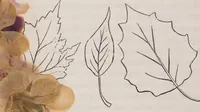 An illustration from Leaf and flower pictures, and how to make them (1859)