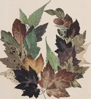 Picture 6 of 18 from Leaf and flower pictures, and how to make them (1859), leaf 25