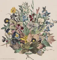An illustration from Leaf and flower pictures, and how to make them (1859)