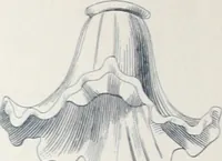 An illustration from Manufacture de lampes A incandescence & d'appareillage general pour l'electricite La Frana§aise. (1900)