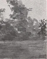 An illustration from Attractive homes (1912)