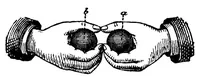 An illustration from More magic (1890)