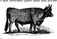 An illustration from Dictionnaire infernal; répertoire universel des êtres, des personnages, des livres, des faits et des choses qui tiennent aux esprits .. (1863)