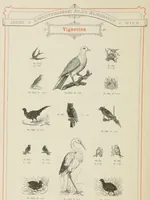 An illustration from Gesamt-Probe der Schriftgiesserei Julius Klinkhardt in Leipzig und Wien (1883)