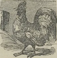 An illustration from Life on the farm; in amusing rhyme (1856)