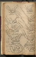 An illustration from Risālah dar namāz-i jum'ah (1800)