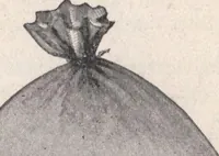 Picture 246 of 303 from Miracle concrete: the great modern industry (1909), leaf 127