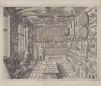 Picture 2 of 29 from Museum Wormianum; seu, Historia rerum rariorum, tam naturalium, quam artificialium, tam domesticarum, quam exoticarum, quae Hafniae Danorum in a aedibus authoris servantur (1655), leaf 11