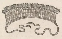 An illustration from Museum Wormianum; seu, Historia rerum rariorum, tam naturalium, quam artificialium, tam domesticarum, quam exoticarum, quae Hafniae Danorum in a aedibus authoris servantur (1655)