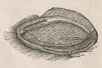 Picture 16 of 29 from Museum Wormianum; seu, Historia rerum rariorum, tam naturalium, quam artificialium, tam domesticarum, quam exoticarum, quae Hafniae Danorum in a aedibus authoris servantur (1655), leaf 240