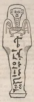 Picture 26 of 29 from Museum Wormianum; seu, Historia rerum rariorum, tam naturalium, quam artificialium, tam domesticarum, quam exoticarum, quae Hafniae Danorum in a aedibus authoris servantur (1655), leaf 372