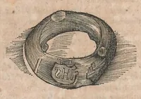 Picture 28 of 29 from Museum Wormianum; seu, Historia rerum rariorum, tam naturalium, quam artificialium, tam domesticarum, quam exoticarum, quae Hafniae Danorum in a aedibus authoris servantur (1655), leaf 402
