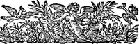 An illustration from Curiositez inoüyes (1629)