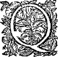 Picture 17 of 45 from Curiositez inoüyes (1629), leaf 209